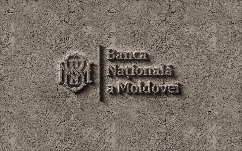 Parlamentul a numit în funcție doi viceguvernatori la Banca Națională a Moldovei