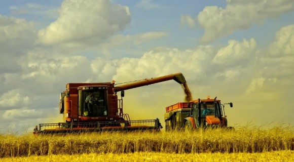Fondul de subvenționare în agricultură va fi majorat, iar regulile de oferire a banilor – schimbate